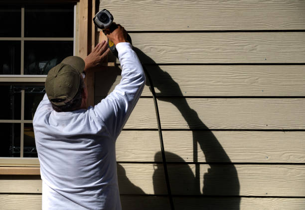 Best Brick Veneer Siding  in Olathe, CO
